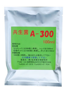 共生菌　A-300