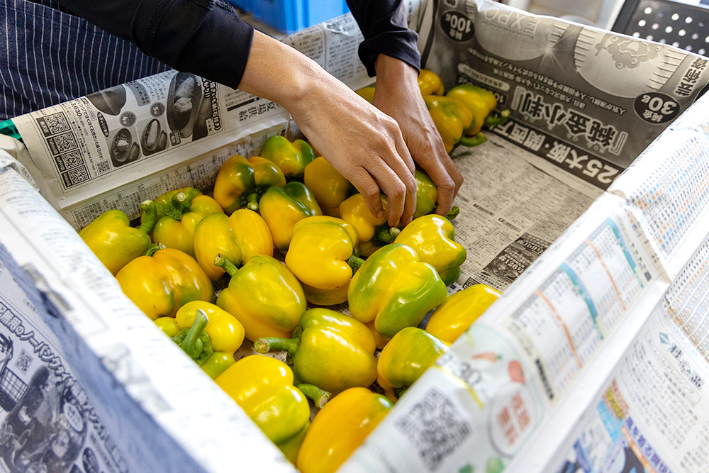 農園ギャラリー08