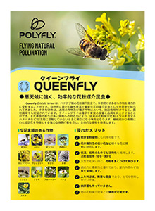 QUEENFLY
